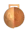 npc